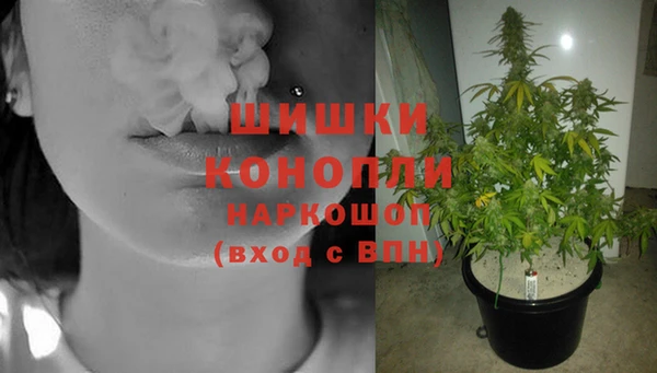 гашик Волоколамск